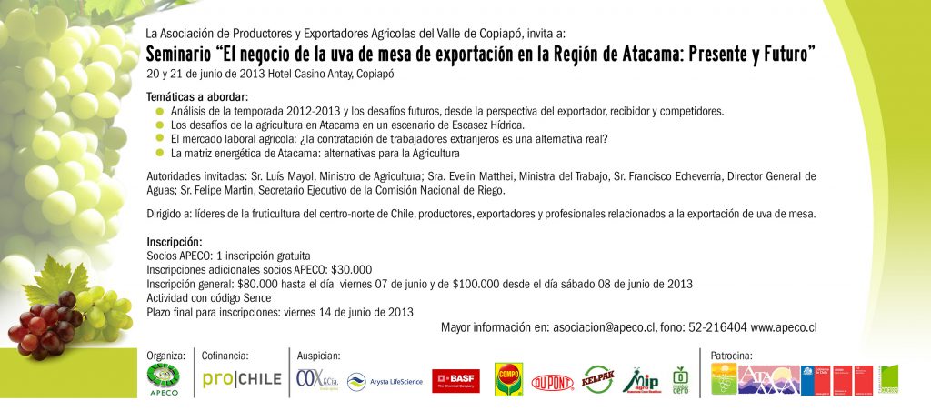 Invitacion-Seminario-Apeco-2013-1024x452